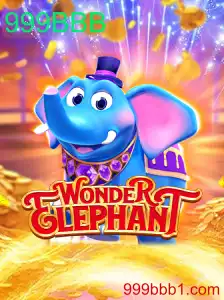 Descubra o Fascinante Mundo de WonderElephant